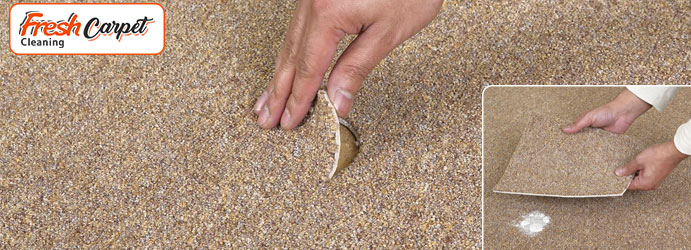 Carpet Patching Services