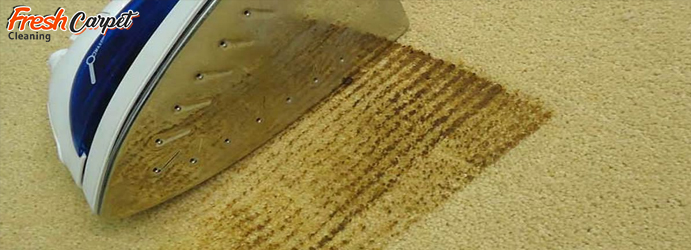 Professional Carpet Repair Gold Coast