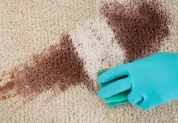 Expet Carpet stain Removal